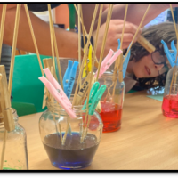 Science-Week-3