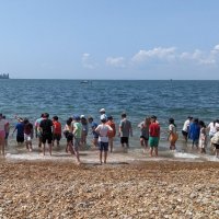 IOW-5